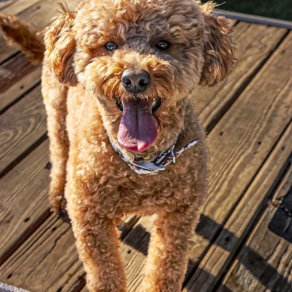 Qa09oPbbfjxFCLsS_1770392223